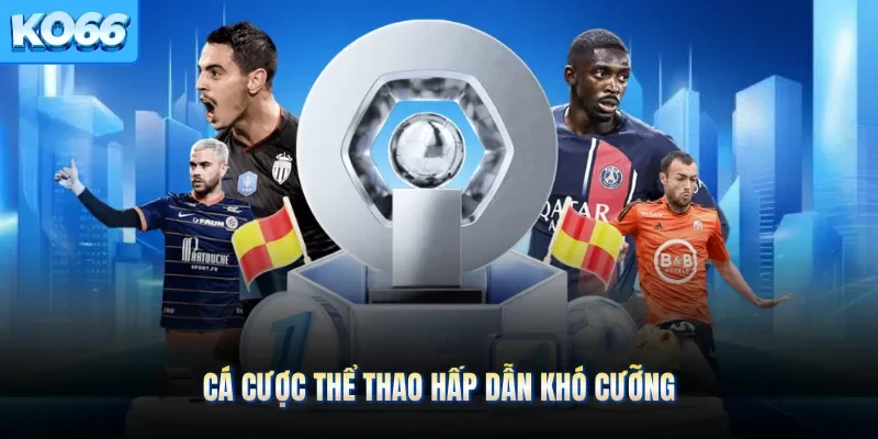 Cá cược thể thao hấp dẫn khó cưỡng